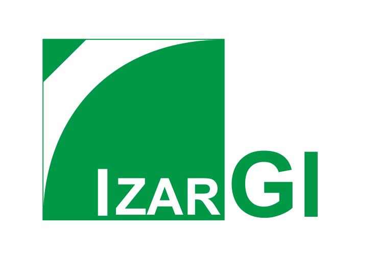 Logo-Izargi-Seguridad-SL